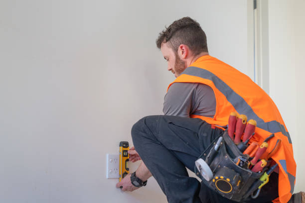 Best Electric Panel Repair  in Las Quintas Fronterizas, TX